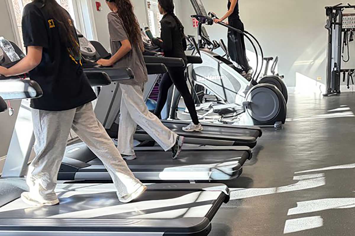 Fitness Fitness